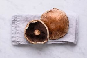 波多貝羅蘑菇