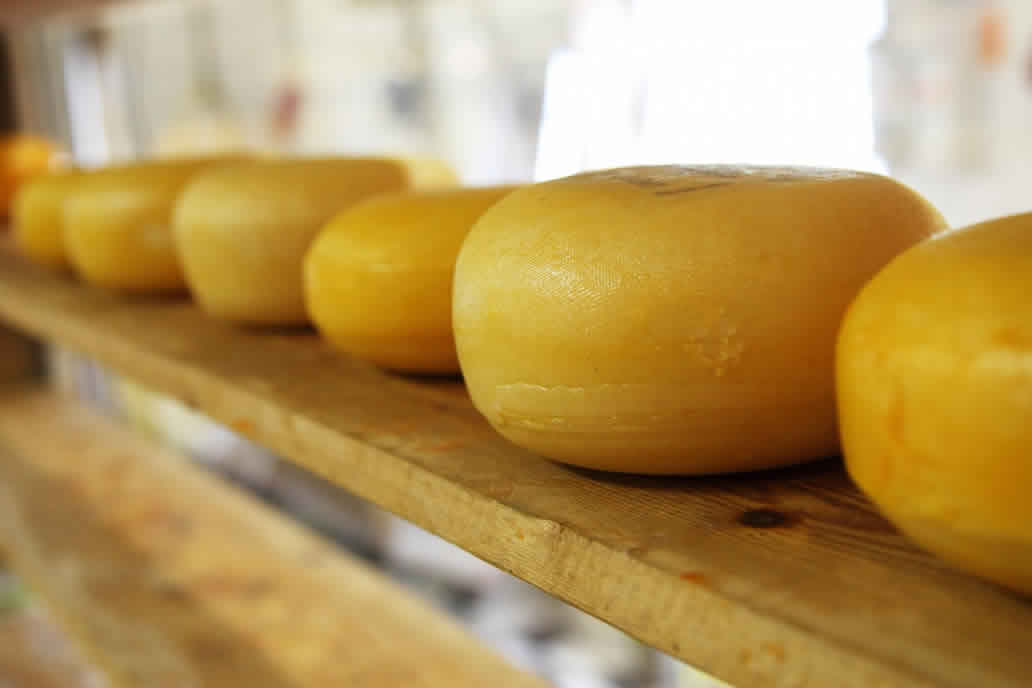 奶酪的營養成分和健康益處