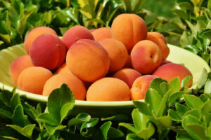桃的營養事實和健康益處